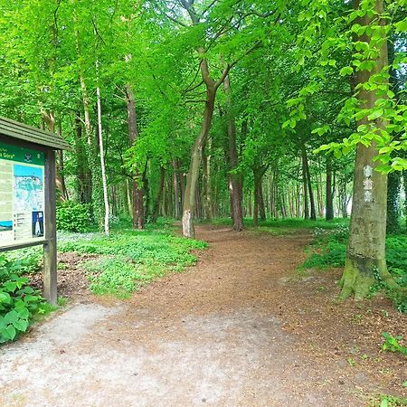 Komfort Alexa Jastrzębia Góra Exterior foto