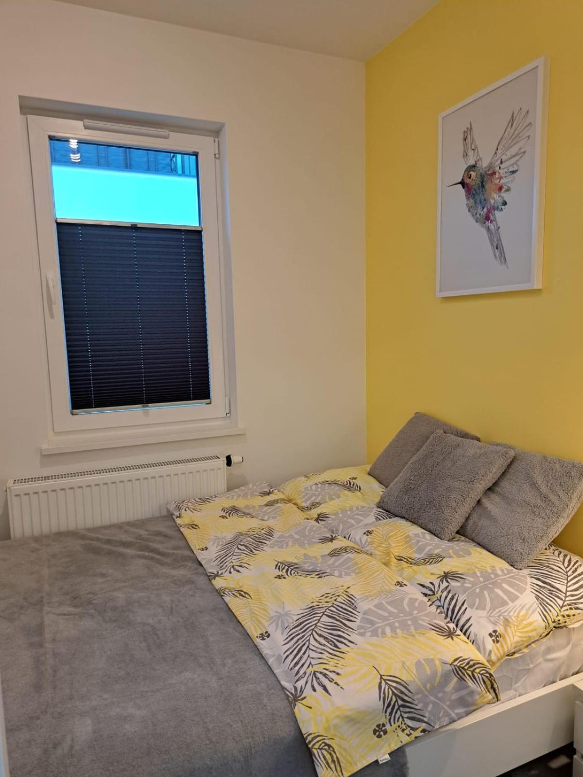 Komfort Alexa Jastrzębia Góra Exterior foto